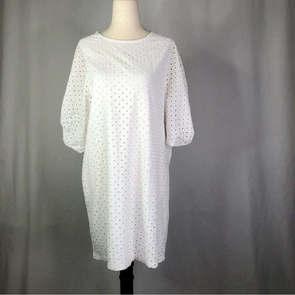 Zara dress white eyelet front jersey knit back dramatic sleeves 100% cotton M